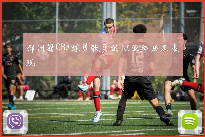 邳州籍CBA球员张勇的职业经历及表现