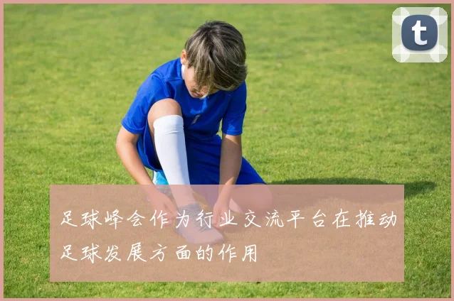 足球峰会作为行业交流平台在推动足球发展方面的作用